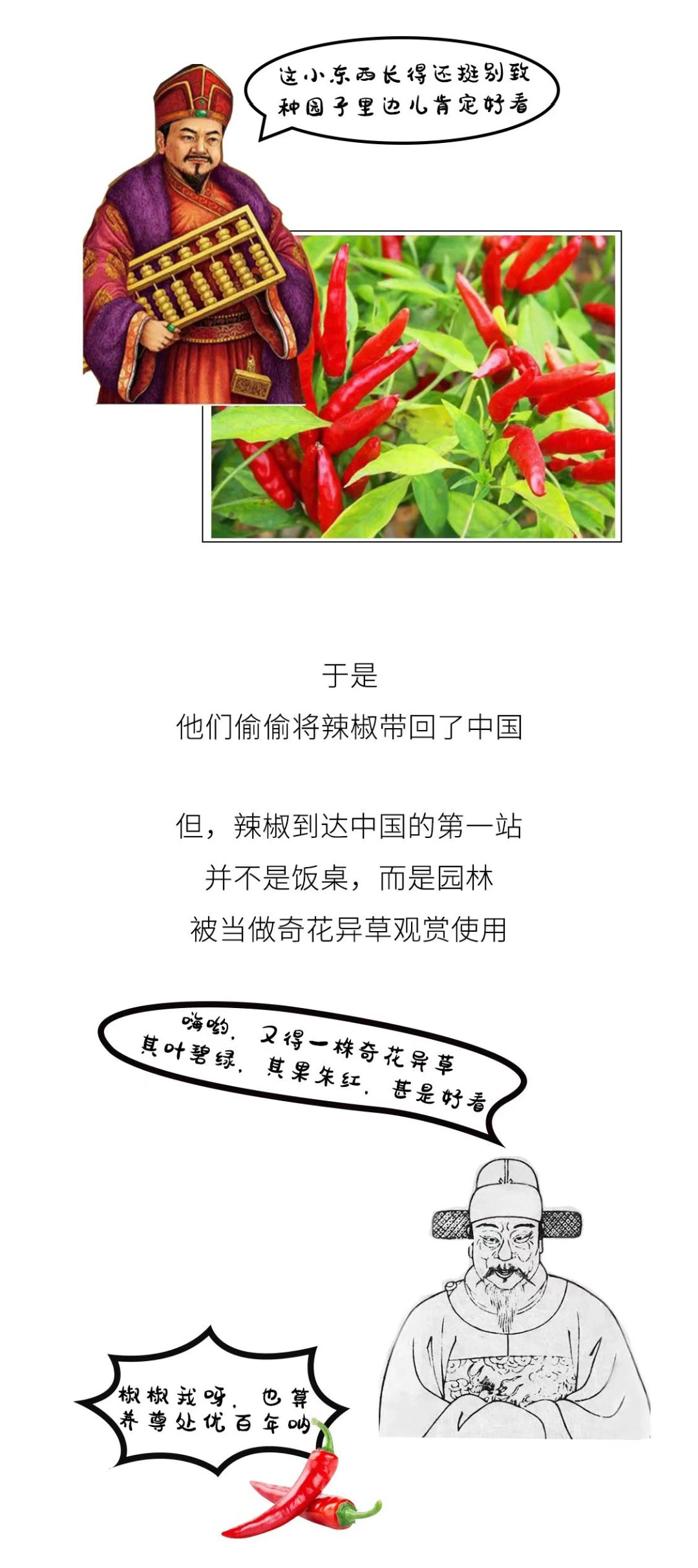 99957cm彩霸王5点来料